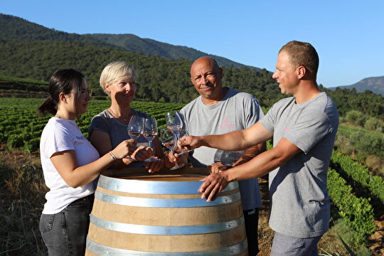 Des vignerons célèbrent une récolte réussie avec un toast à la santé.