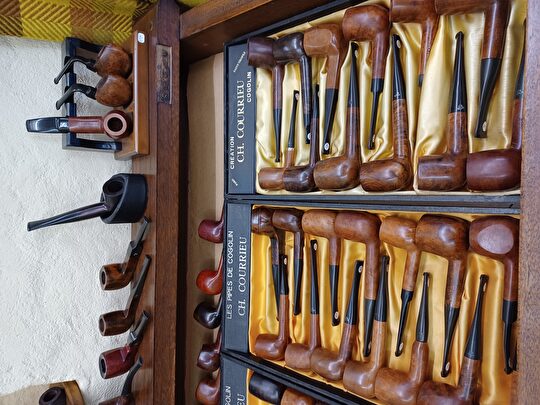 Collection de pipes en bois de Cogolin, présentées dans des boîtes dorées.