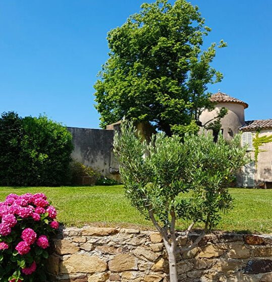 Un jardin verdoyant avec un mur en pierre, un arbre et des fleurs roses sous un ciel bleu.