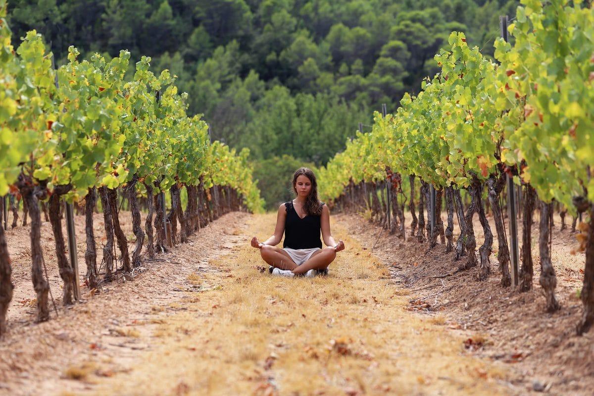 Méditation entre les rangs de vignes en Provence